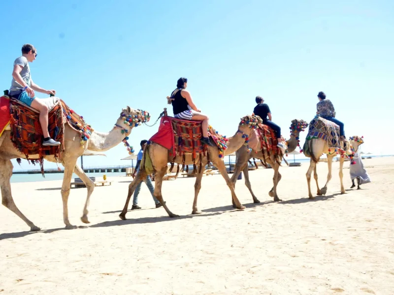 Camel Ride in Egypt