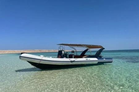 Private Speed Boat to (Dolphin Bay-orange Bay -Paradise Island)