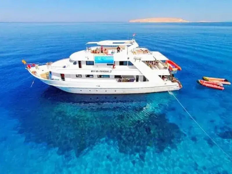 Dolphin House Snorkeling Hurghada